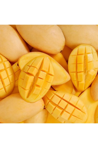 Aşılı Sweet Yellow Mango Fidanı - 2 Yaş - Tüplü 60-70 Cm - Yüksek Şeker Oranlı Lifsiz Sarı Mango