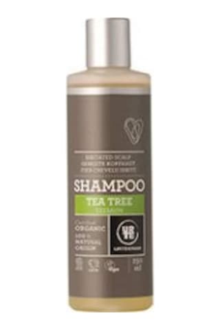 Urtekram Organik Çay Ağacı Özlü Şampuan 250 ML