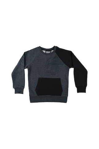 Beşiktaş Orijinal Lisanslı Kartal Baskılı Çocuk Sweat 6223241t3 Antrasit