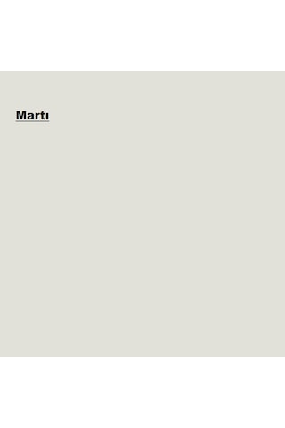 Marshall Pastel Yarı Mat Martı 2,5l 2.5 L