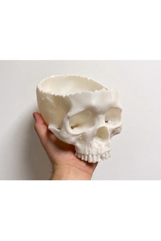 Halloween Cadılar Bayramı Dekoratif Kuru Kafa Şekerlik Kase Masa Üstü Dekor