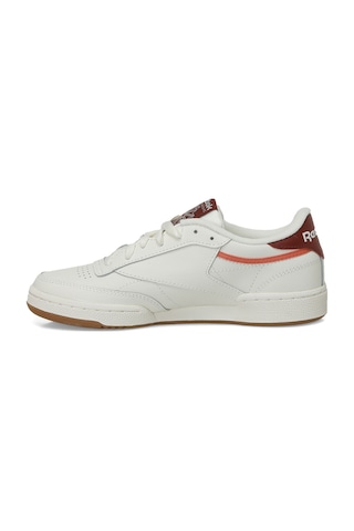 Reebok Club C 85 Kırık Beyaz Kadın Sneaker 000000000101926622 Beyaz-kestane Çok Renkli
