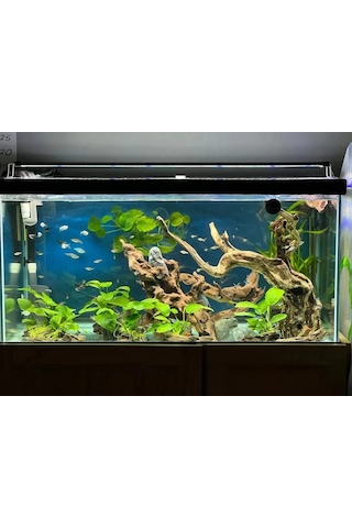 Shark Akvaryum Aydinlatma 4 Sira Osram Marka Ledli 566770147