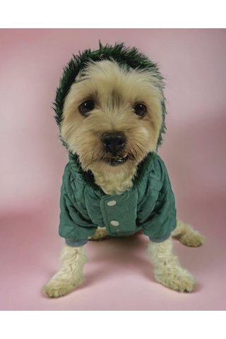 Kemique Green Comfie Köpek Montu Ceketi Köpek Dış Giyim