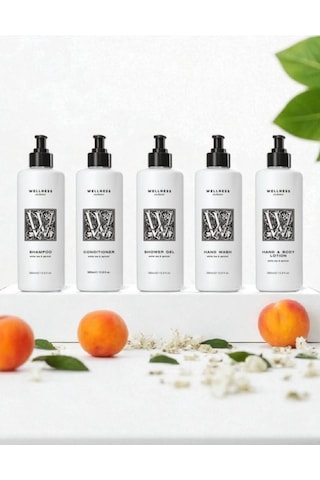 Wellness Exclusive White Tea & Apricot Shampoo 380 ML + Conditioner 380 ML + Shower Gel 380 ML + Hand Wash 380 ML + Hand & Body Lotion 380 ML