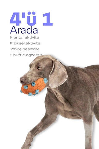 Köpek Snuffle Topu Mama Saklama Ve Çiğneme Oyuncağı