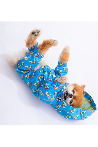 Pawstar İrides Fileli Köpek Tulum Yağmurluğu