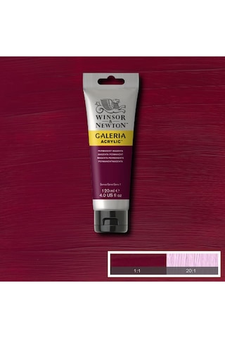 Winsor & Newton Galeria Akrilik Boya 120ml Permanent Magenta 488 Karışık, Çok Renkli