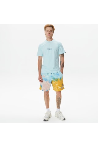 Vans Fruit Stickers Loose Vn0007xqbr41 Vans Teal