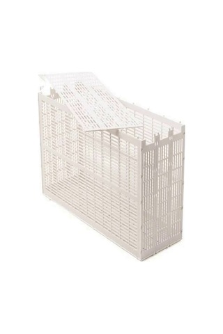 Ana Arı Hapsetme 3 Çerçeveli