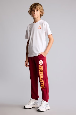 Defacto Galatasaray Baskılı Kalın Eşofman Altı Erkek Çocuk I6621a826wnrd119 Kırmızı-rd119