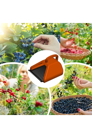 Blue Berry , Aronya , Kuşburnu Ve Meyve Toplama Tarağı Plastik B Alıç Toplama