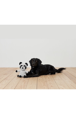 Pelüş Köpek Oyuncağı, Rakun, Geri Dön. Pes