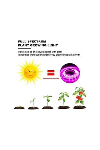 Pazly Yetiştirme Usb Tohumları Geniş Spektrumlu Şerit Sera Phyto Led Lamba İç Dc Çiçek Çadırı Bitki 5v 3m 2m 1m Qc 5m Waterproof