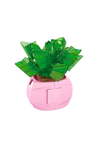 Ctoys Florist Burçlar Saksılı Bitki Yapım Seti Aquarius 8942 11