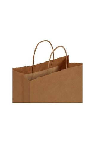 Packanya 20 x 10 x 22 - 100 Adet Burgu Saplı Kraft Çanta