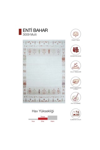 Enti Bahar 3009 Multi Halı - Etnik Bordür Desenli Salon Halısı Renkli