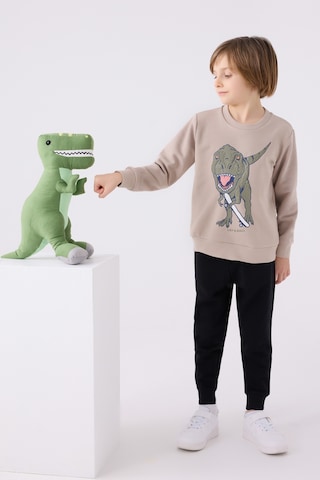 Rolypoly Erkek Çocuk Eşofman Takımı Rp3430 Kum Kum
