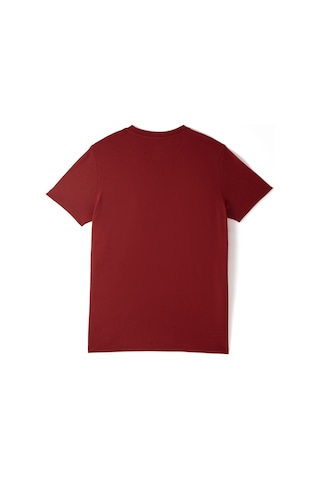 Galatasaray 5 Yıldız T-shirt E251393 Bordo