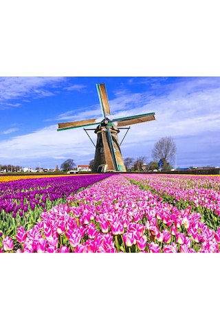 Hı Stone 5d Elmas Boncuk Taş Işleme Mozaik Goblen Kit 30x40cm Yeldeğirmeni