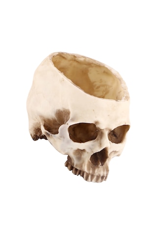 Konesam Büyük Boy Reçine Kafatası Süs Tepsisi - Bitki Yetiştirme, Atıştırmalık Depolama, Bar Ve Halloween Dekorasyonu