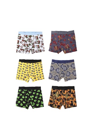 Harry Jons Erkek 6'lı Desenli Renkli Pamuklu Premium Paket Boxer Karışık Karışık