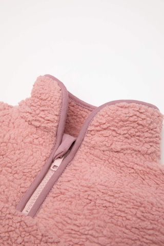 DeFacto Kız Bebek 2'li Takım Pelüş Fermuarlı Dik Yaka Sweatshirt Beli Lastikli Alt D6706A524WNBR80