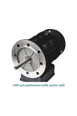 Gemaş Streamer Mini Havuz Pompası 1 HP Monofaze