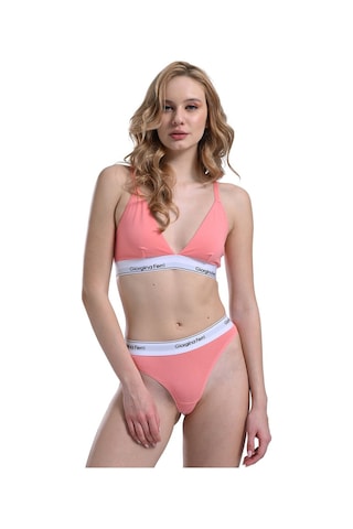 Likralı 6'lı Kutu Premium Günlük Kullanıma Uygun Yazılı Slip Külot Gloria Resimdeki Renk