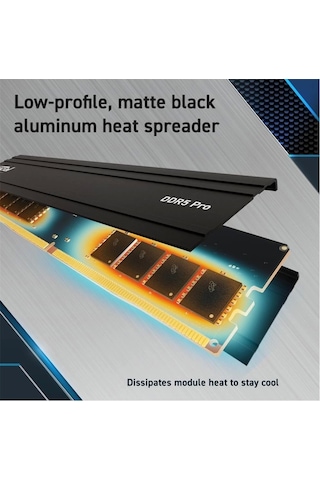 Crucial Pro 16gb Ddr5-6000 Udımm Cl48 Cp16g60c48u5 Masaüstü Pc Ram Bellek