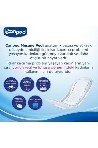 Mesane Pedi Büyük Boy Yoğun