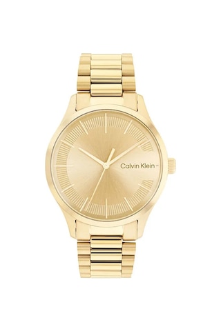 Calvin Klein CK25200038 Erkek Kol Saati