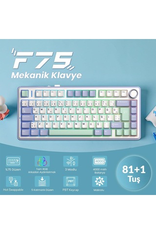 F75 Mekanik Rgb Tkl Graywood V4 Switch Kablosuz Makrolu Hot Swap Türkçe Q Klavye Pastel