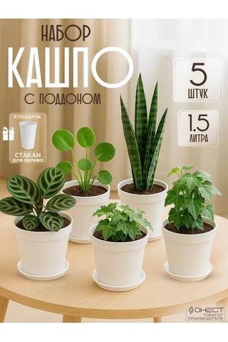 Onest Tabaklı Saksılar 1,5 L 5'li S 400601687