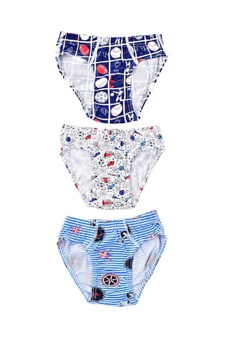 Pemilo Erkek Çocuk 255 Desenli 3'Lü Slip Karışık Renkli (485926304)