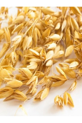 Kappadokia Yulaf Ezmesi Özel 12'li Koli 12 X 500gr