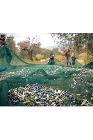 6x10 Metre Zeytin Sergisi Zeytin Toplama Filesi Fındık Fıstık Örtüsü Gölgelik Dut Meyve Sergisi Taban Örtüsü
