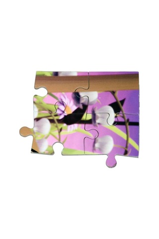 Arı Maya 100 Parça Çocuk Puzzle (ca Games)