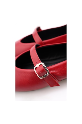 Vişne Babet 24011-vişne Bordo