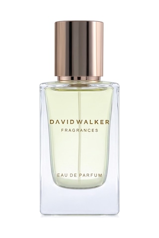 David Walker Porto E180 Erkek Parfüm EDP 50 ML
