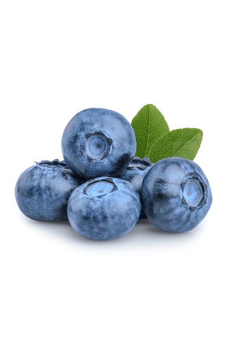 Bahçev2 Yaşında Tüplü Yaban Mersini Fidanı