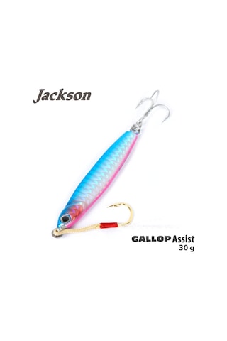 Jackson Gallop Assist 30Gr Jig Yem