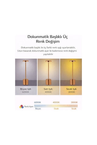 Dekoratif Masa Üstü Şarjlı Dokunmatik Masa Lambası Rose Gold 3 Işık Renkli Dimerli Metal Sarı