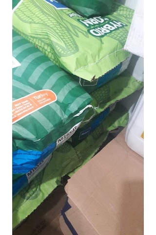 May Silajlık Mısır Tohumu M16s45