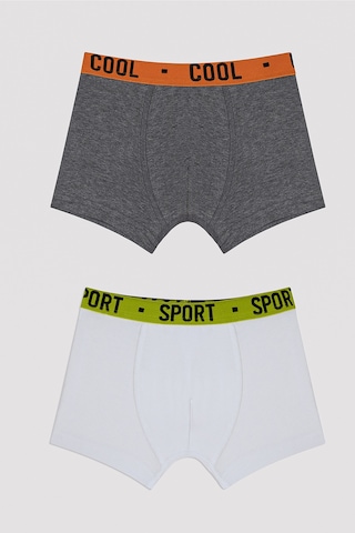 Penti Erkek Çocuk Cool Spor 2li Boxer Çok Renkli