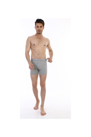 Çift Kaplan Erkek Elastanlı Biyeli Gri Melanj Boxer Şort 880 Gri