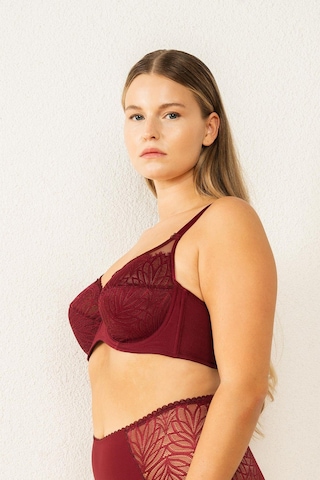 Magic Form 6485 Kadın Askısı Taşlı Dantelli Toparlayıcı Sütyen-bordo Bordo