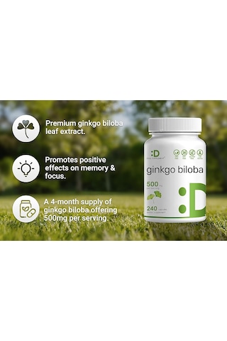 Deal Supplement Ginkgo Biloba Leaf Extract 500mg Per Serving, 240