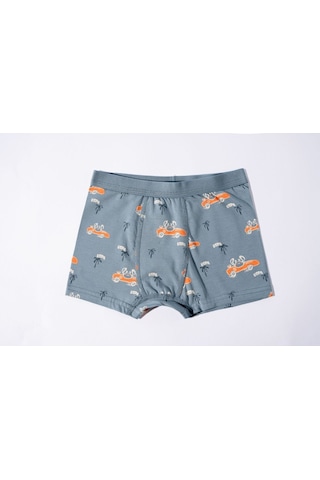U.S. Polo Assn. Erkek Çocuk Yeşil İç Giyim 5274-49096 Pastel Yeşili-turuncu