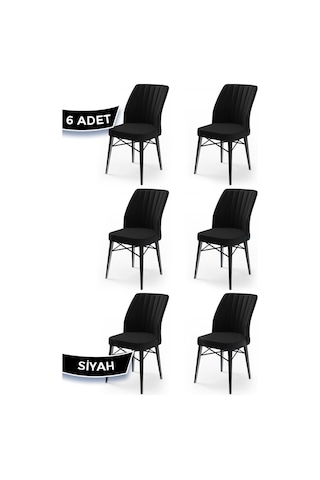 Canisa Concept Flex Serisi, Siyah Sandalye , Siyah Gürgen Ayaklı 1.sınıf 6 Adet Sandalye Siyah